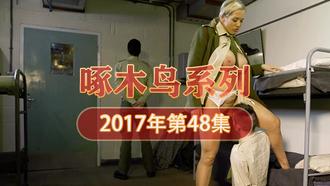 巨乳誘惑愛欲解放啄木鸟17年系列-第48集