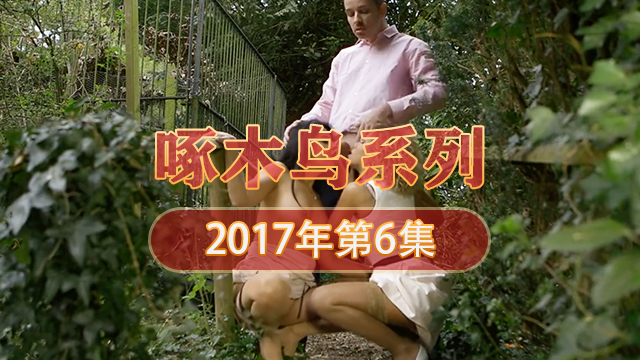 私處的慾望對話 啄木鸟17年系列-第6集
